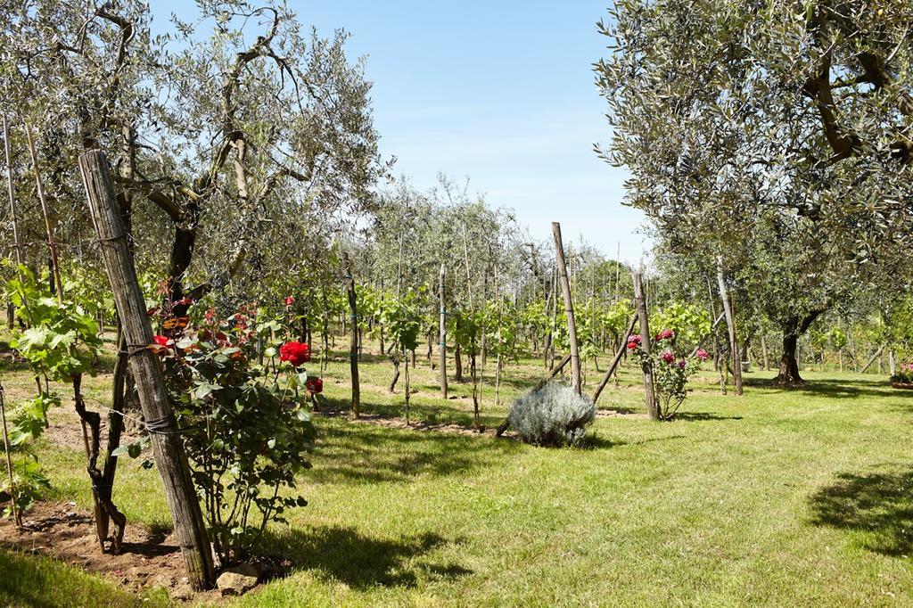 Malmantile Podere La Casuccia חדר תמונה