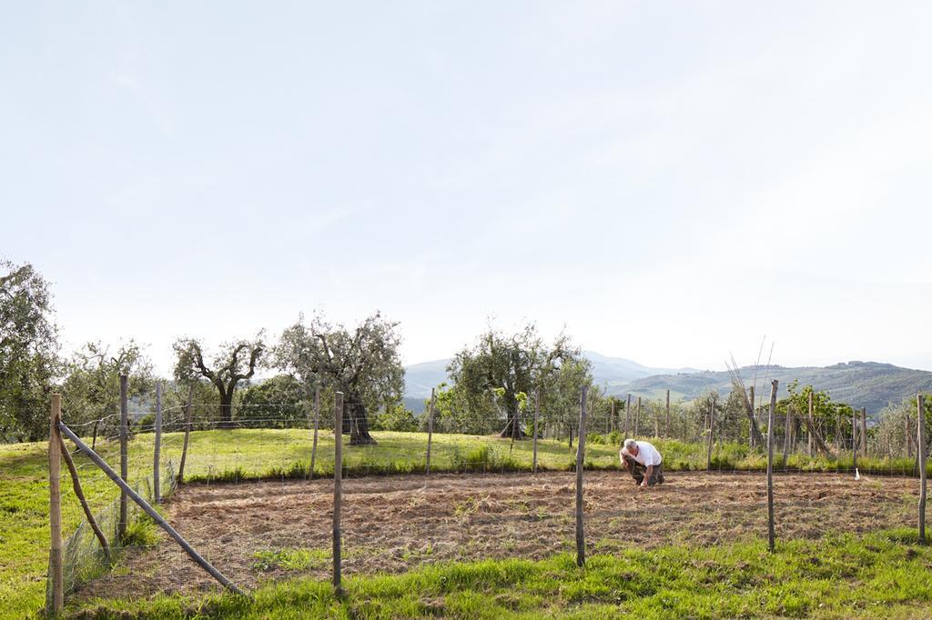 Malmantile Podere La Casuccia חדר תמונה