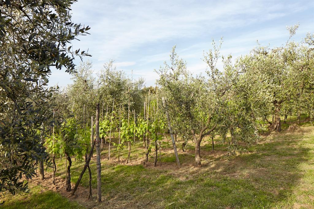 Malmantile Podere La Casuccia חדר תמונה