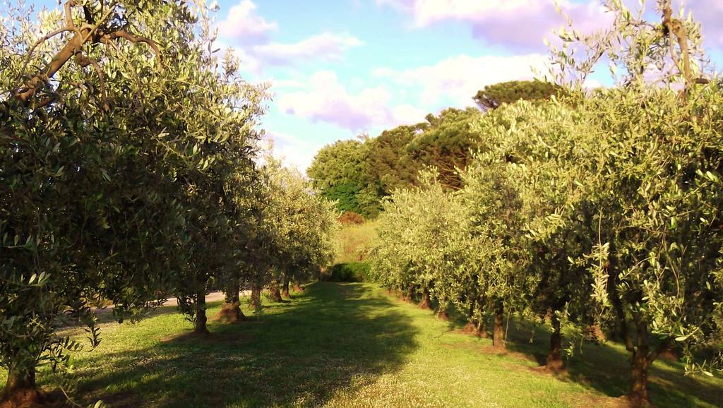 Malmantile Podere La Casuccia חדר תמונה