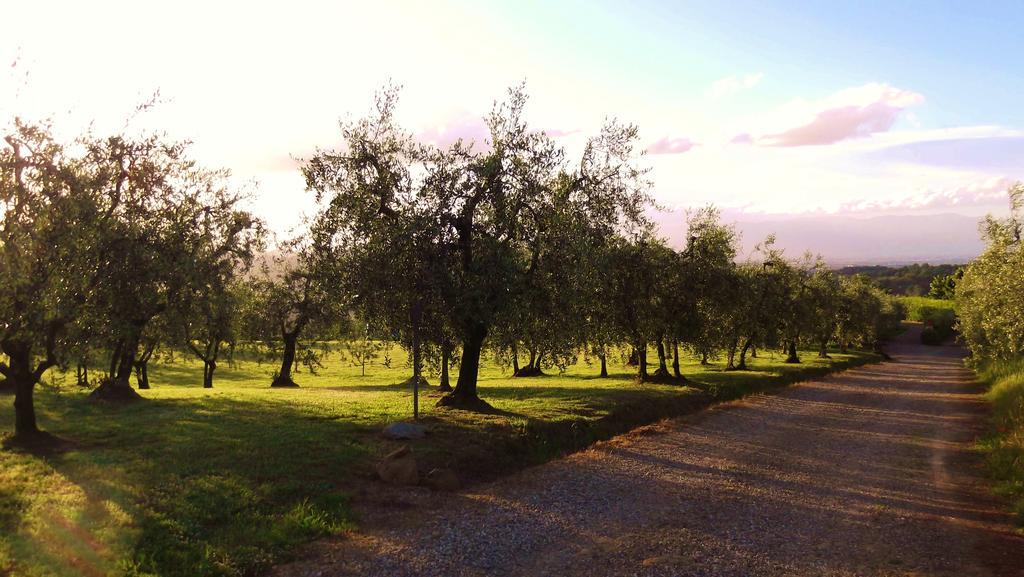 Malmantile Podere La Casuccia חדר תמונה