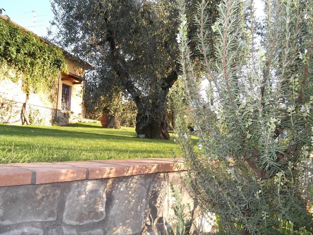 Malmantile Podere La Casuccia חדר תמונה
